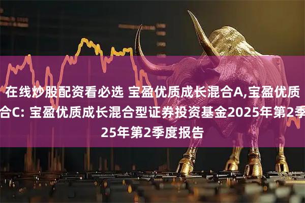 在线炒股配资看必选 宝盈优质成长混合A,宝盈优质成长混合C: 宝盈优质成长混合型证券投资基金2025年第2季度报告