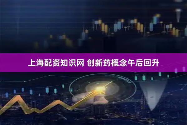 上海配资知识网 创新药概念午后回升