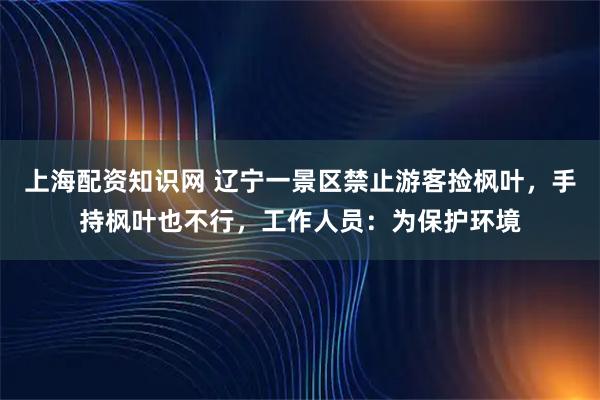 上海配资知识网 辽宁一景区禁止游客捡枫叶，手持枫叶也不行，工作人员：为保护环境