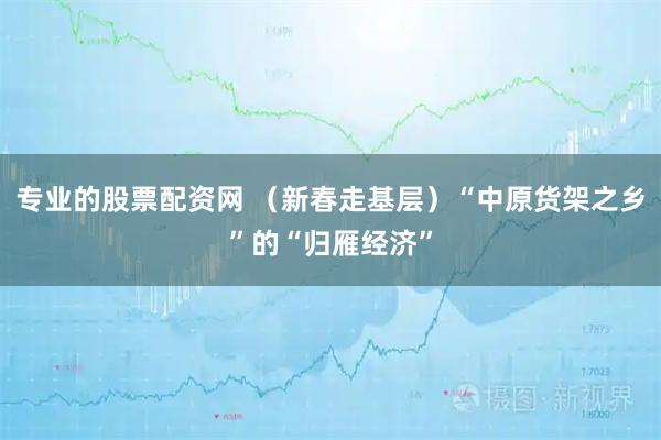 专业的股票配资网 （新春走基层）“中原货架之乡”的“归雁经济”