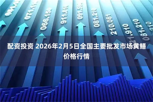 配资投资 2026年2月5日全国主要批发市场黄鳝价格行情