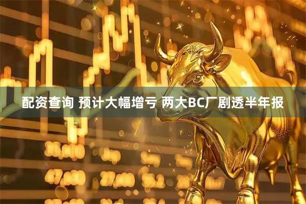 配资查询 预计大幅增亏 两大BC厂剧透半年报