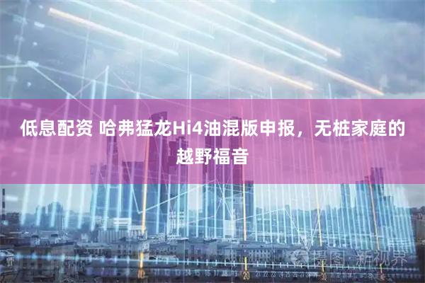 低息配资 哈弗猛龙Hi4油混版申报，无桩家庭的越野福音