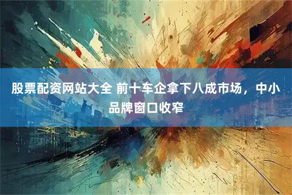 股票配资网站大全 前十车企拿下八成市场，中小品牌窗口收窄